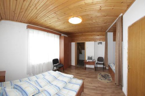 Hostal Pensiunea Pui De Urs Sirnea