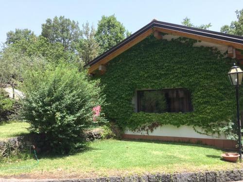 Bed & Breakfast Domus Verdiana