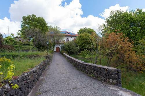 Bed & Breakfast Domus Verdiana