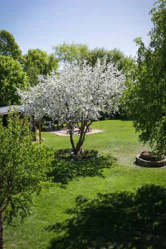 Apartamenty Osowa Nad Jeziorem Okmin