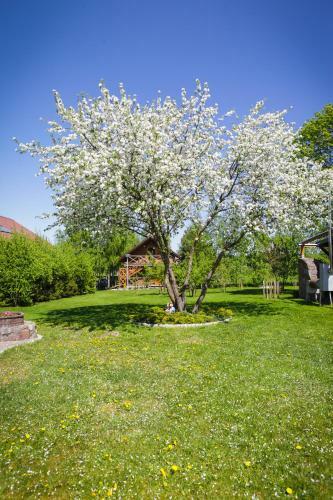 Apartamenty Osowa Nad Jeziorem Okmin