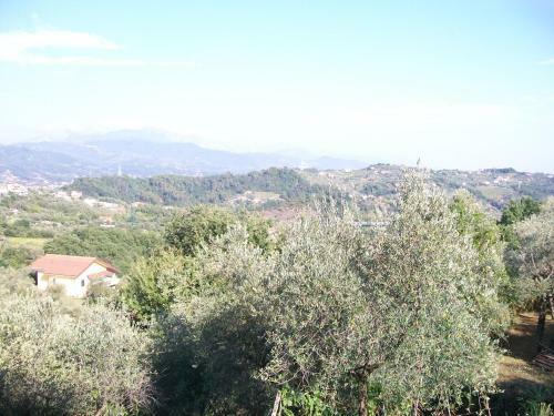 Apartamento Il Fabianetto