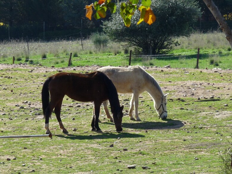 Agroturismo Casa Del Valle