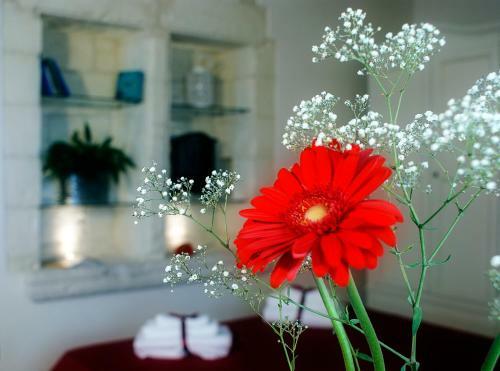 Bed & Breakfast La Torre Nel Borgo
