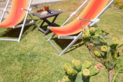 Bed & Breakfast La Torre Nel Borgo