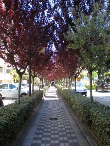 Apartamento Casa Vacanze Montesilvano