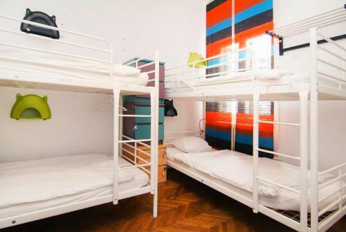 The Cozyness Downtown Hostel