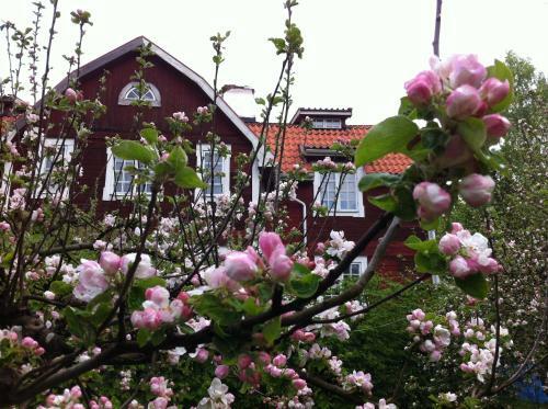 V�rmd�v�gen B&B Cottage