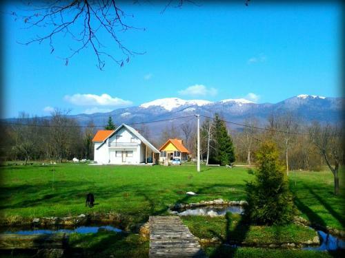 Galesic Apartments & Rooms