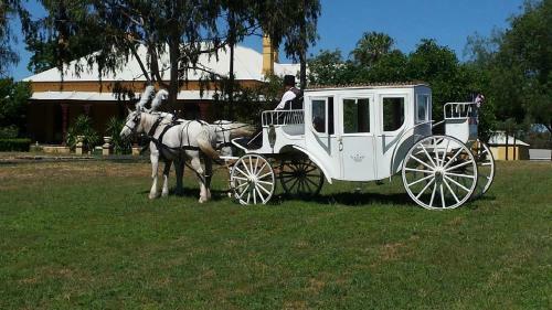 Hostal Ranelagh House
