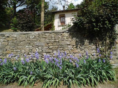 Apartamento Casa Vacanze Podere Ugolini