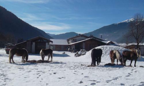 Hostal Agritur Maso Grisun