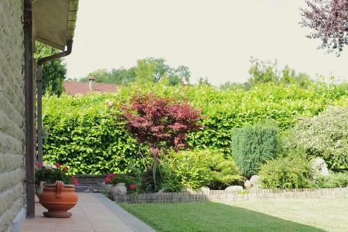 Bed & Breakfast La Casa Di Muro