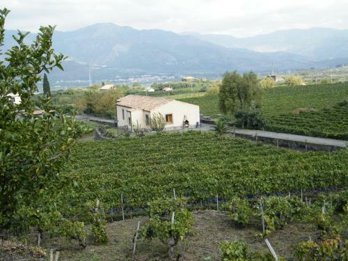 Agroturismo Etna Wine Azienda Agrituristica