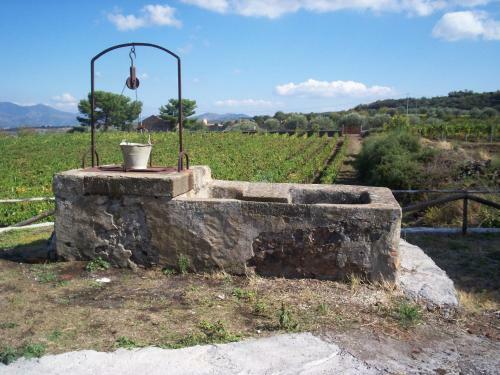 Agroturismo Etna Wine Azienda Agrituristica