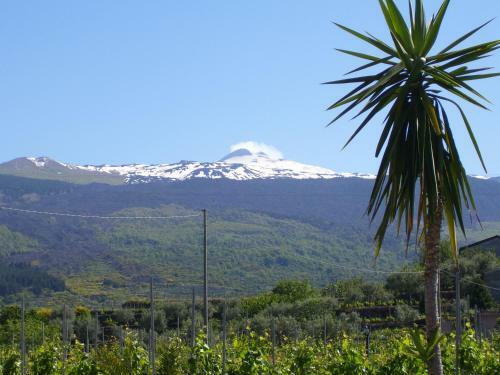 Agroturismo Etna Wine Azienda Agrituristica