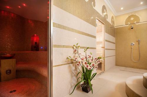 Borowinowy Zdr�j Hotel Wellness Spa & Conference
