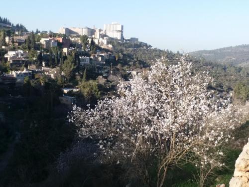 Apartamento Avrahami Lake View