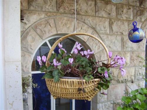 Apartamento Avrahami Lake View