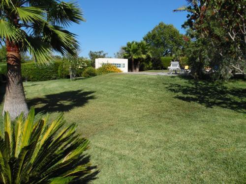 Horta Nova