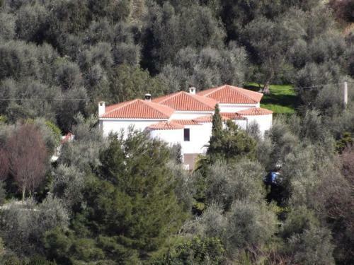 Bed & Breakfast Casa Masseria Le Ville