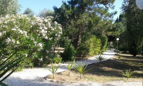 Bed & Breakfast Casa Masseria Le Ville