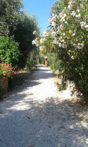 Bed & Breakfast Casa Masseria Le Ville