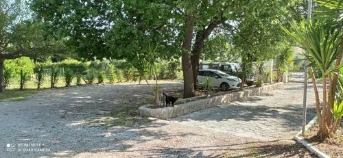 Bed & Breakfast Casa Masseria Le Ville