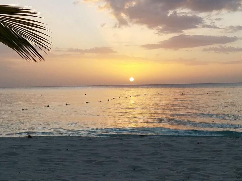 Hotel White Sands Negril