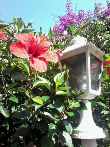 Apartamento Appartamento Buganville