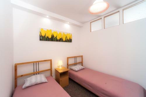 Apartamenty Storczykowa