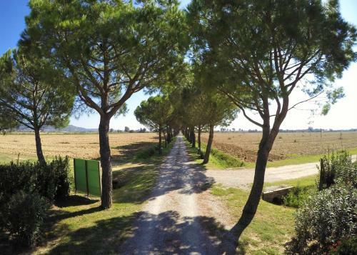 Agroturismo Terra Di Cortona