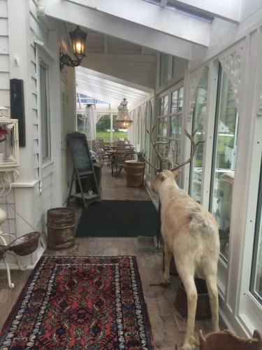 Bed & Breakfast Eidfjord Gjestgiveri