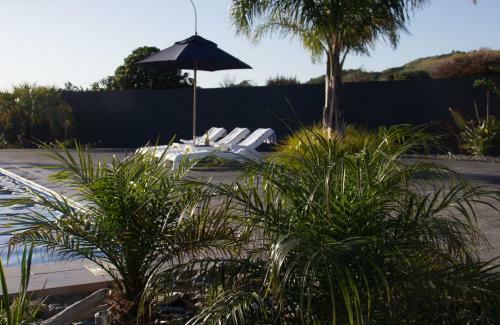 Motel Oasis
