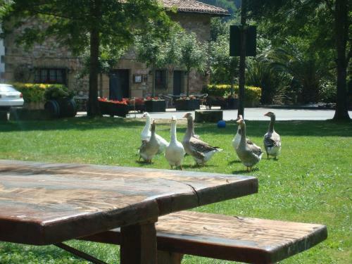 Agroturismo Casa Rural Jesuskoa