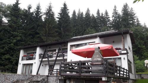 Hostal Casa Timis