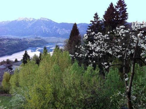 B&B Alba Sul Lago