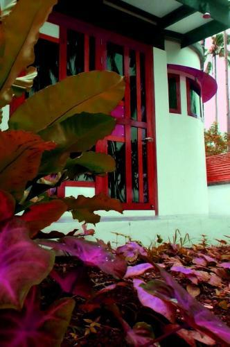 Hotel Somewhere Else Boutique Resort