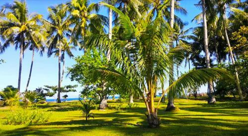 Hotel Somewhere Else Boutique Resort