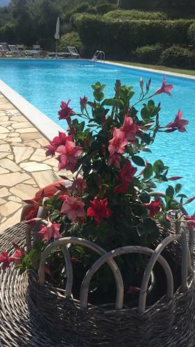 Agroturismo Agriturismo Cima Alla Serra