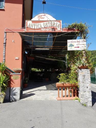 Hostal Affittacamere La Collina Degli Ulivi