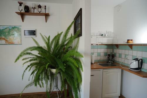 Hostal Villa Pan Tadeusz