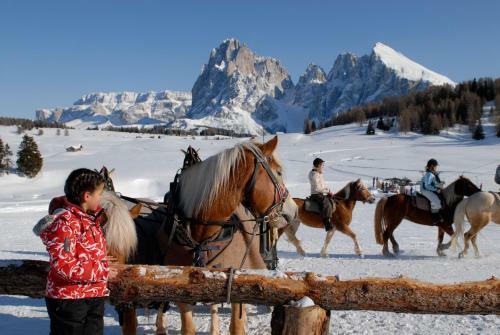 Tirler - Dolomites Living Hotel
