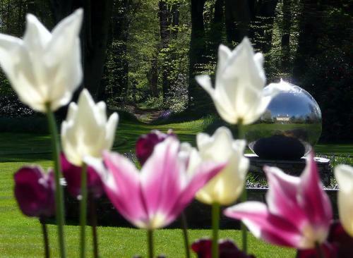 Agroturismo Plas Bodegroes Restaurant With Rooms