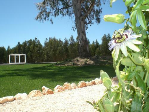 Bed & Breakfast Casas Da Lupa