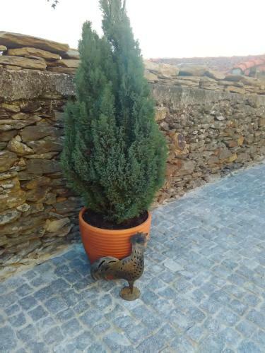 Hostal Alojamento Rural Casa Da Eira