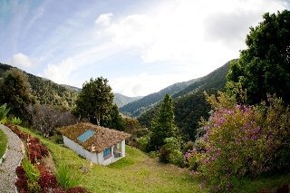 Bed & Breakfast Dantica Cloud Forest Lodge