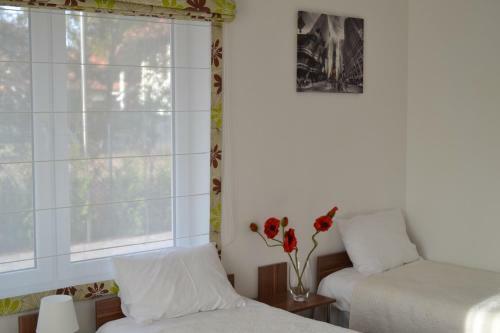 Hostal Kalinowy Sen