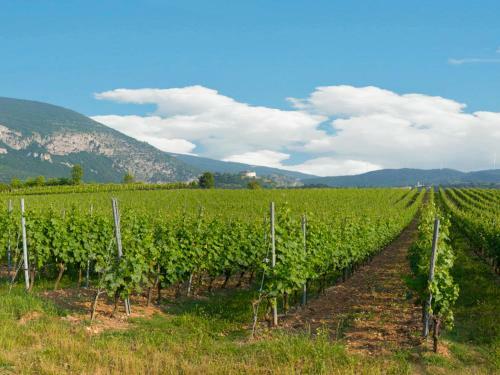 Agroturismo Agriturismo Tenuta La Presa