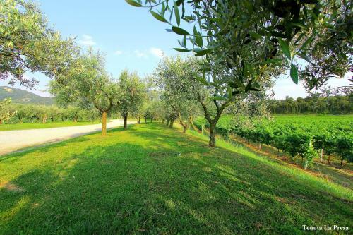 Agroturismo Agriturismo Tenuta La Presa
